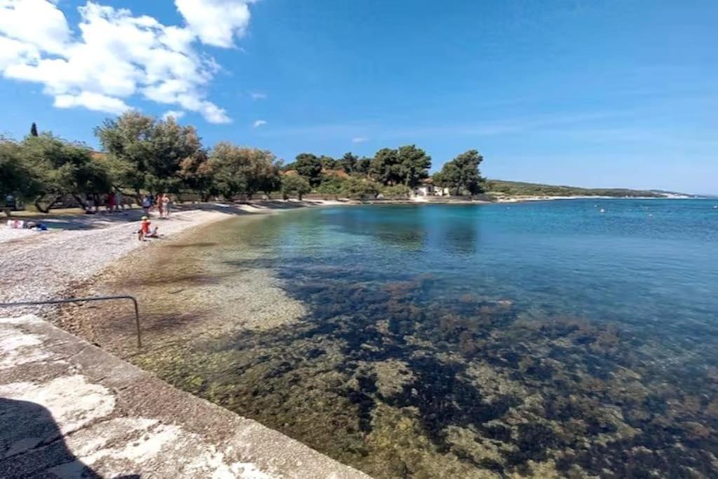 Apartament Rosa Mirca Mirce
